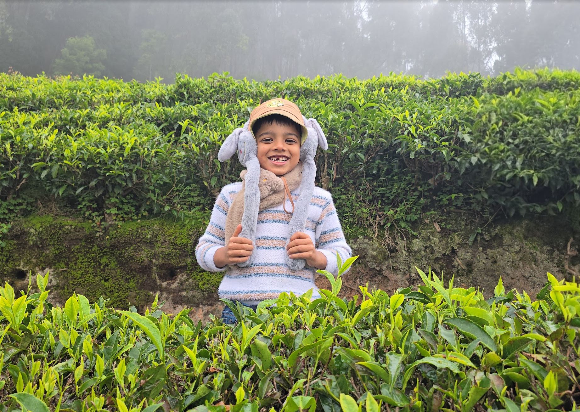 Ooty Trip (Relax + Sightseeing + Food)