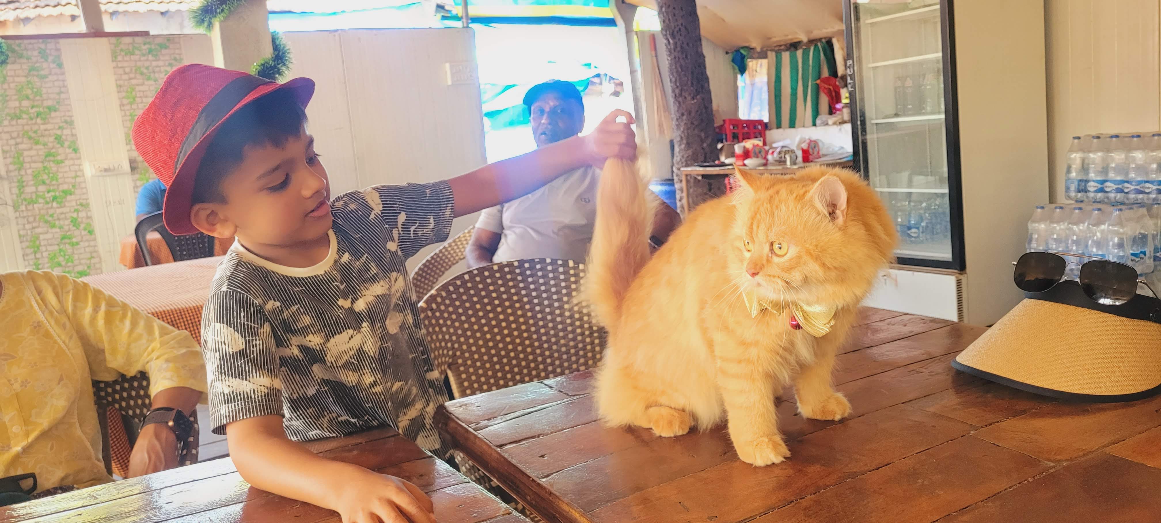 Patnem Beach, Pool Fun & Honeymoon Beach