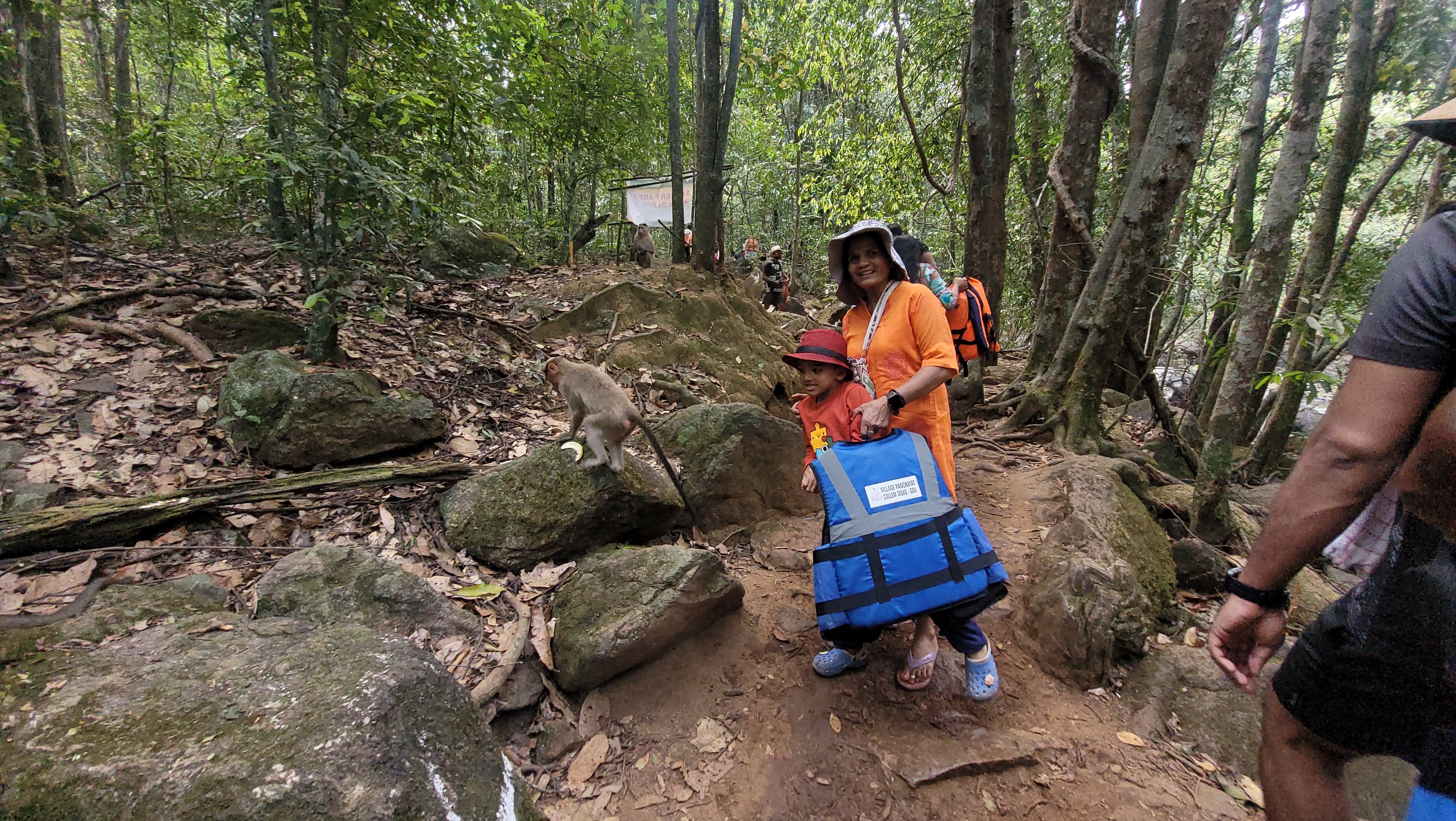 Dudhsagar Waterfalls & Tambdi Surla Temple