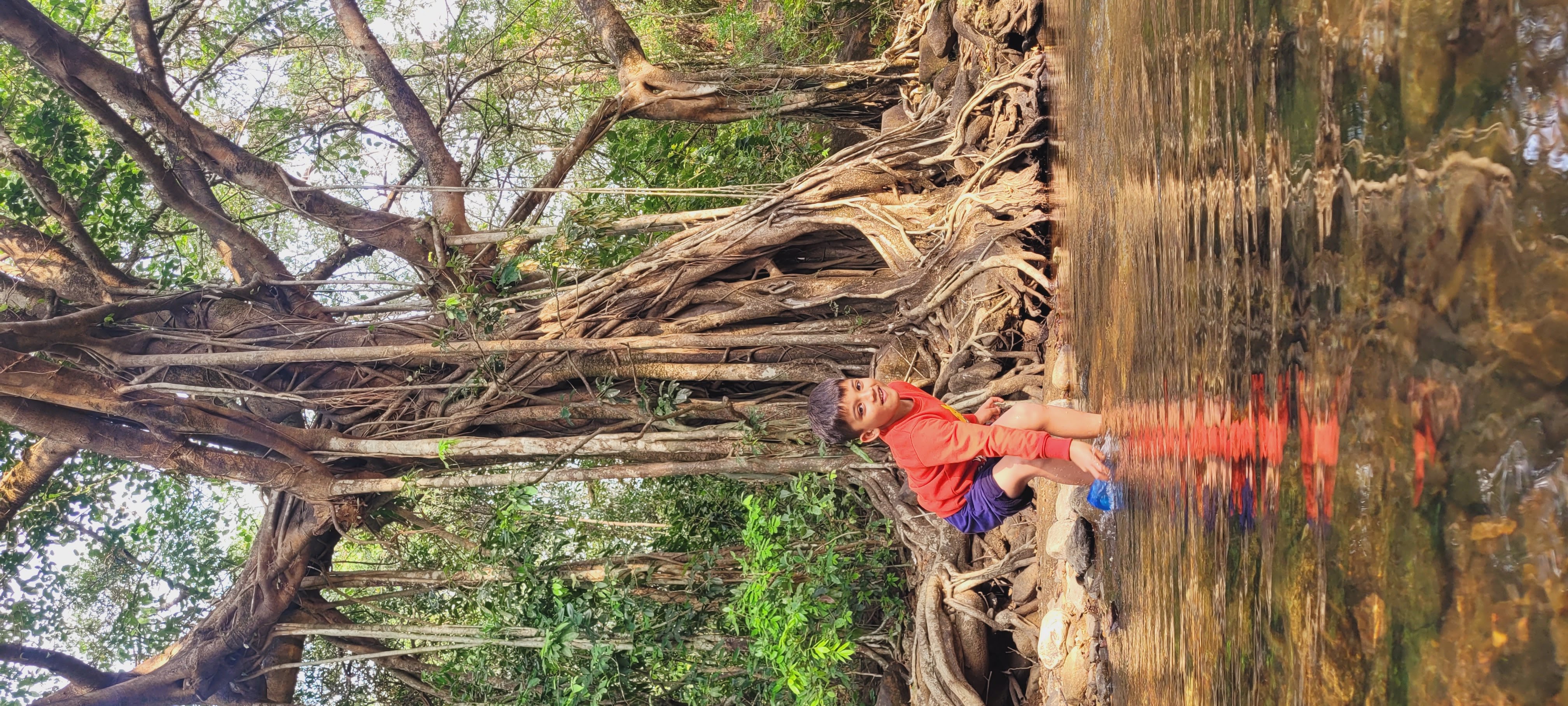 Dudhsagar Waterfalls & Tambdi Surla Temple
