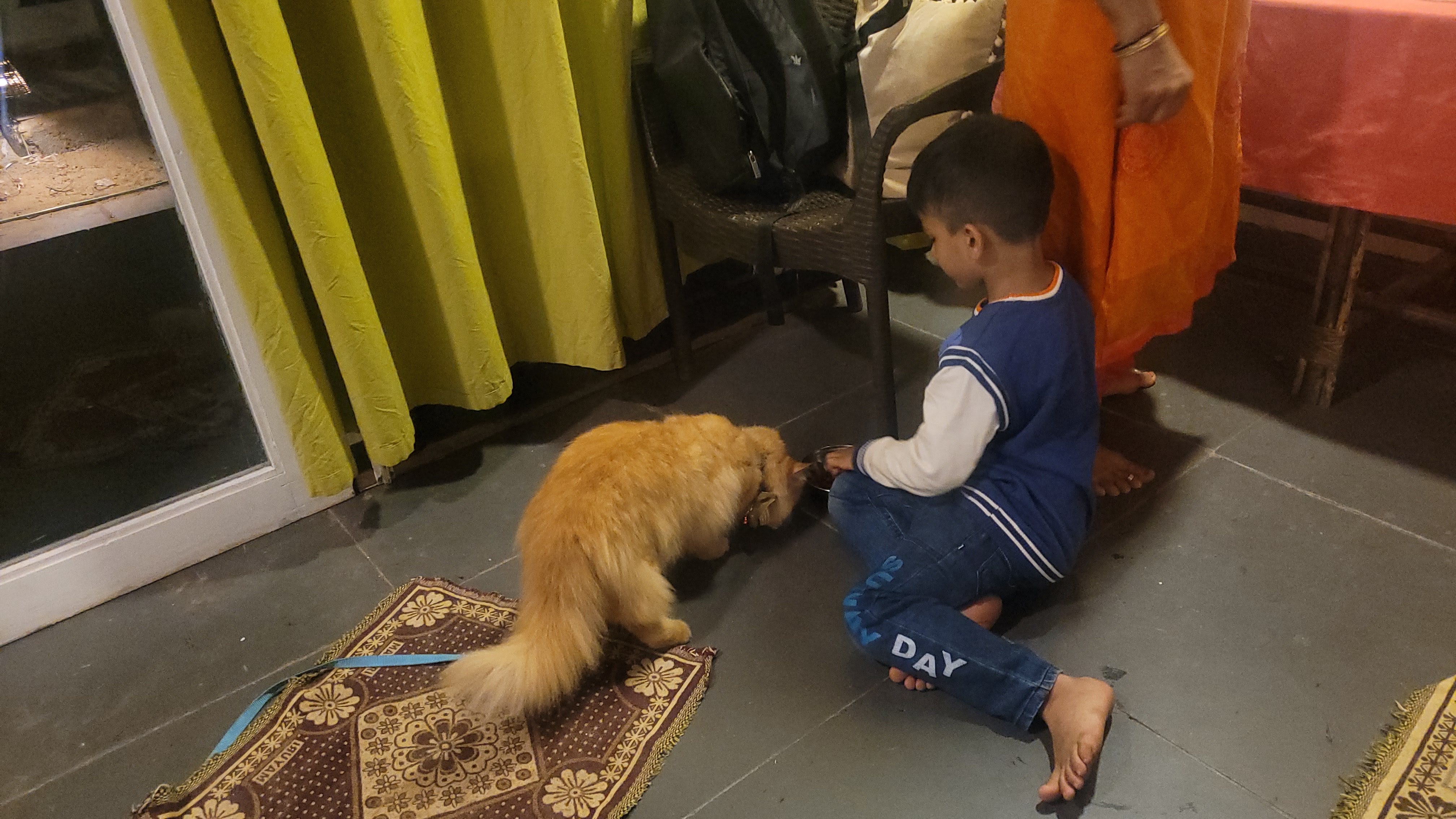 Dudhsagar Waterfalls & Tambdi Surla Temple