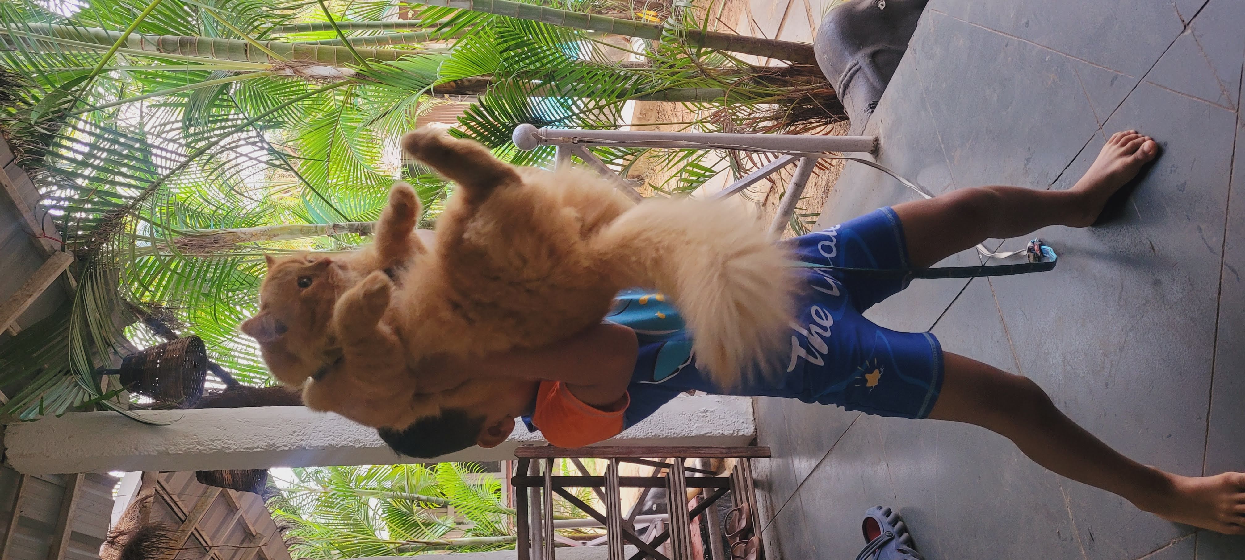 North Goa: Anjuna Beach & Night at Baga Beach