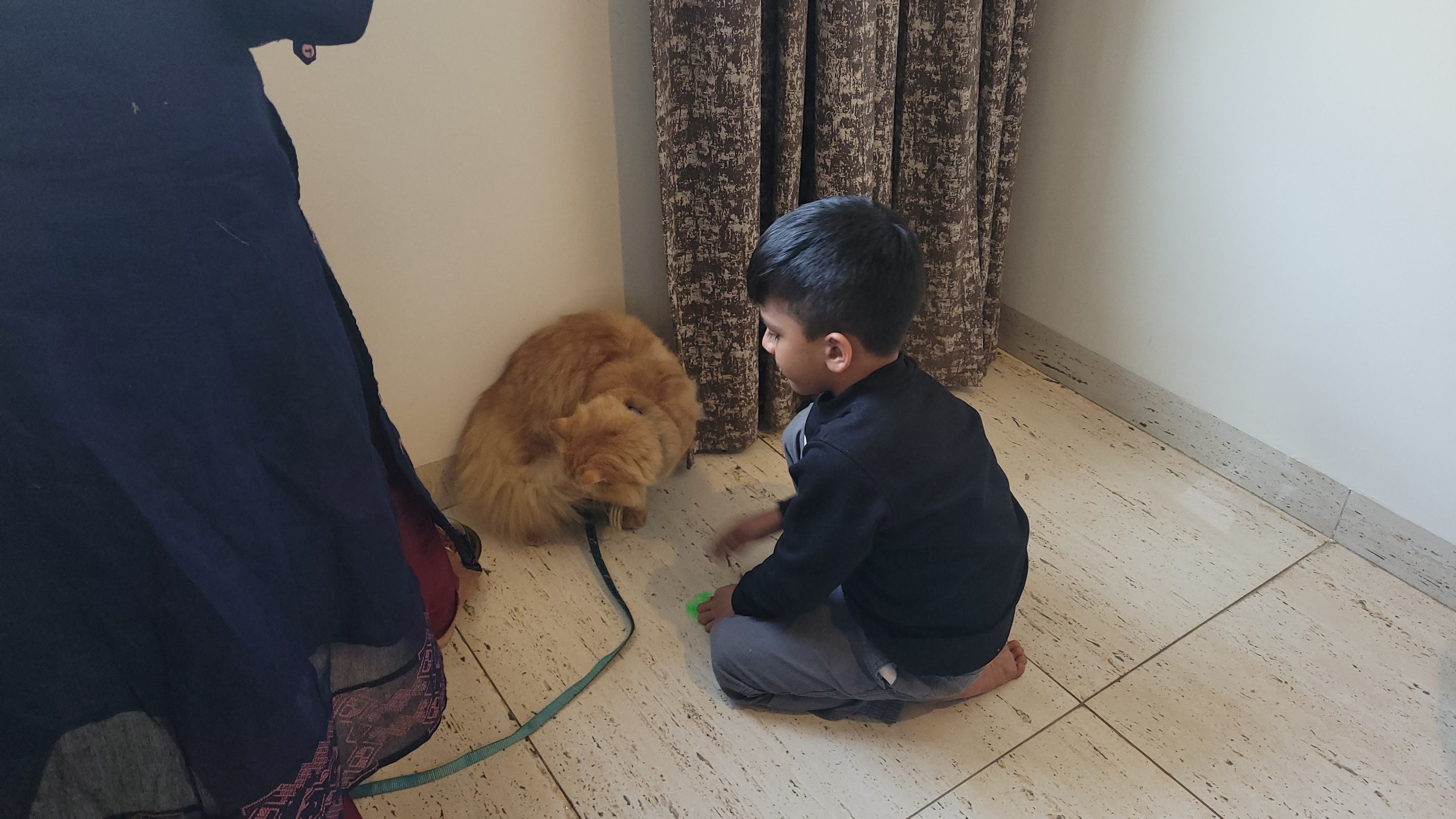 Temple Visits & Evening at Candolim Beach