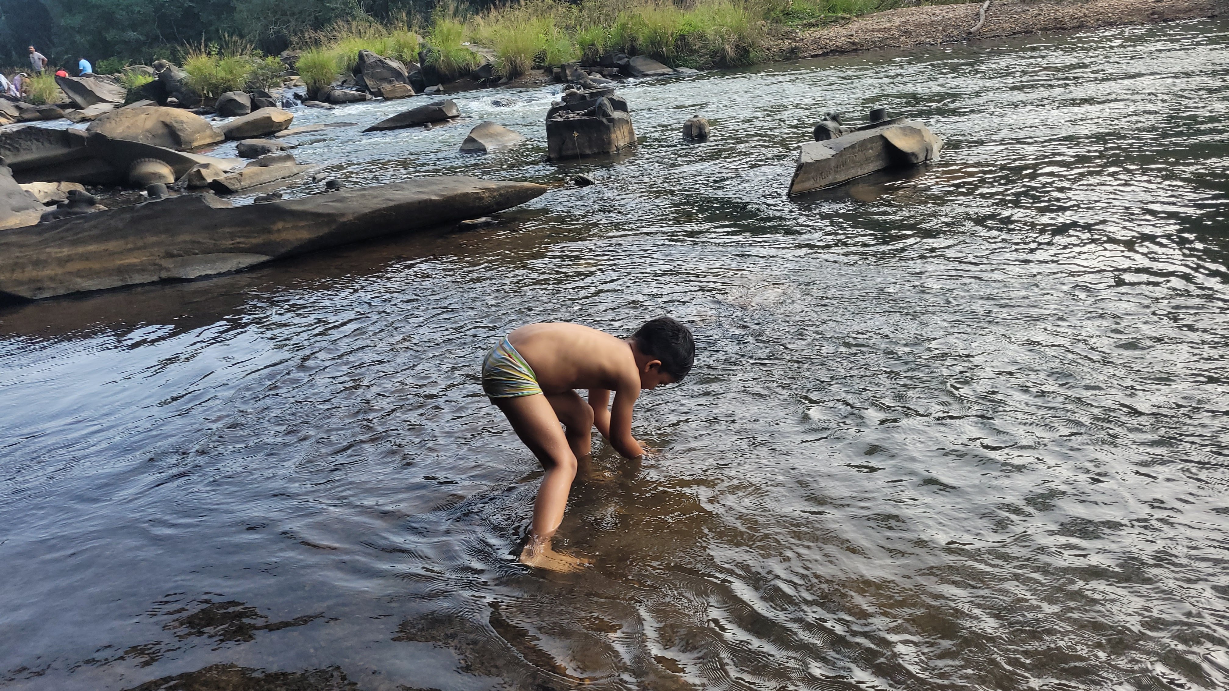 Through Dandeli Forests to Sirsi Temples