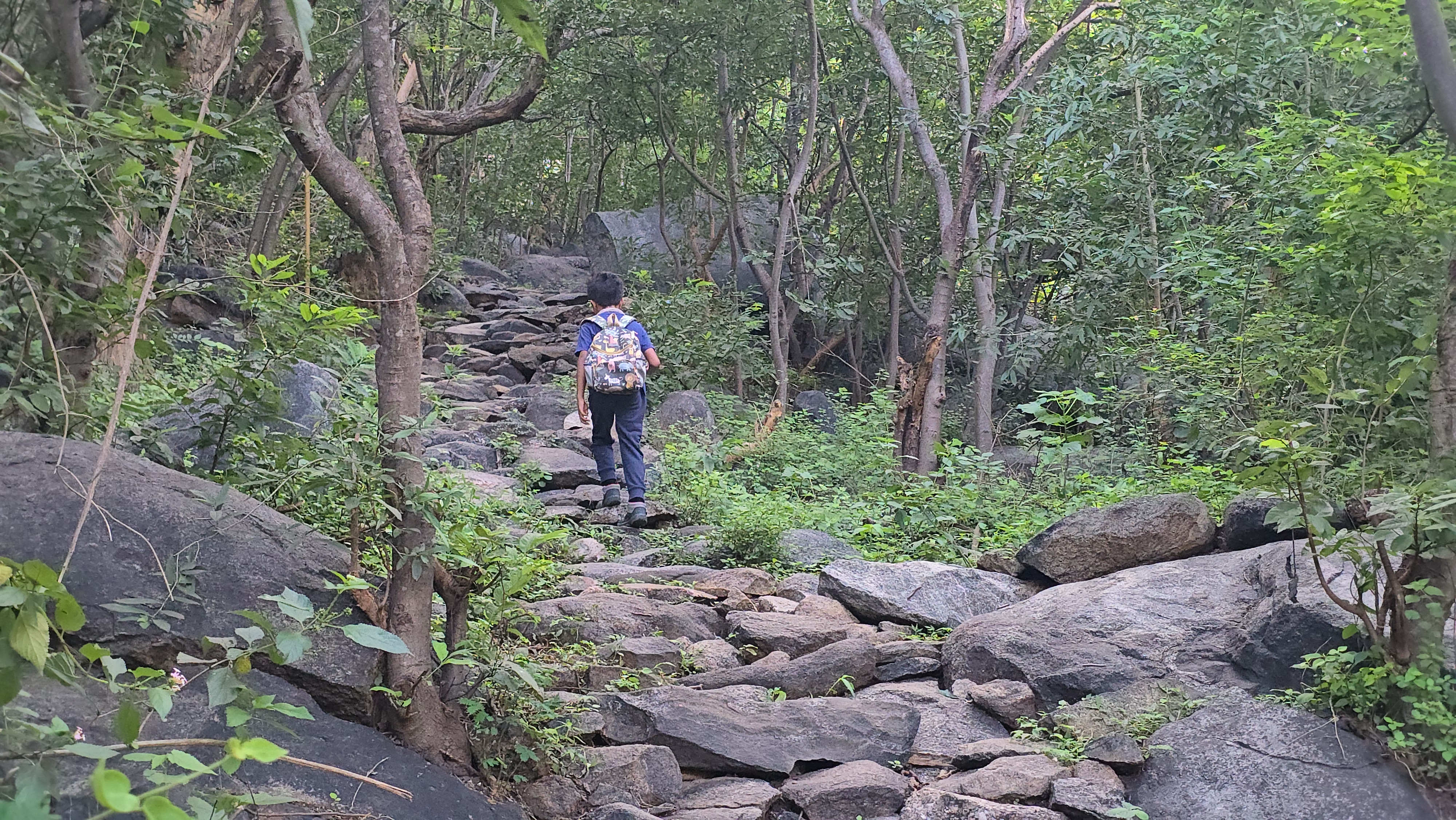 Periyamalai Trek (Attempt 2) – The Peak