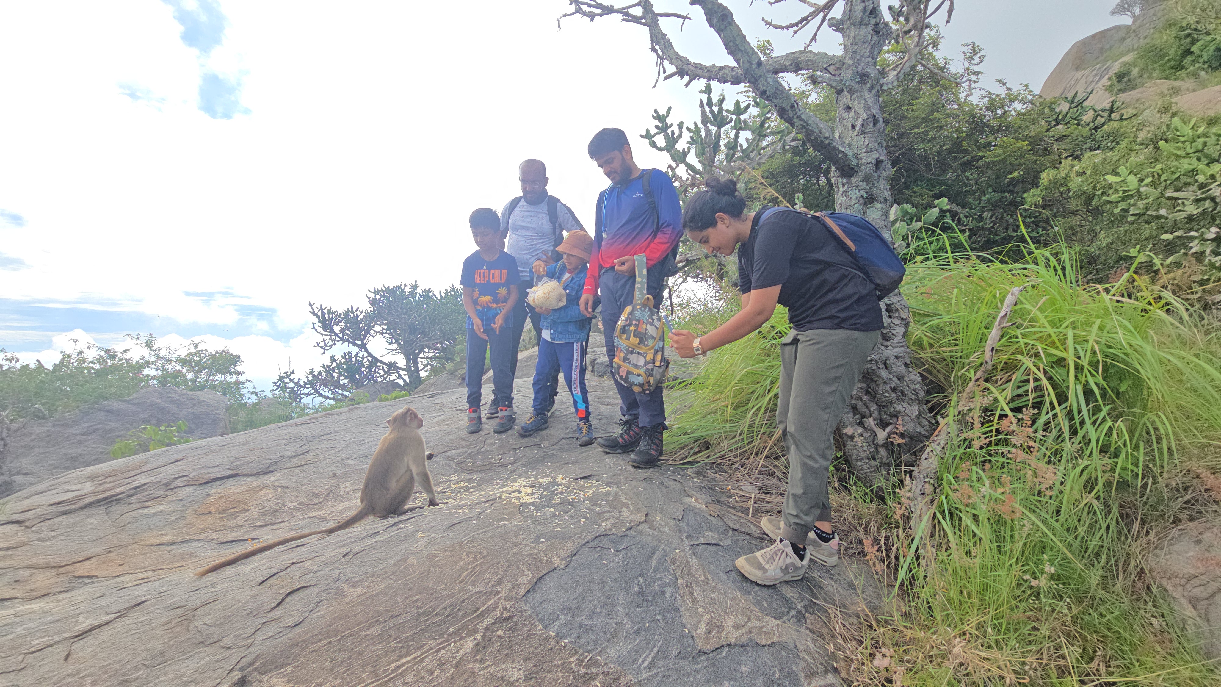 Periyamalai Trek (Attempt 2) – The Peak