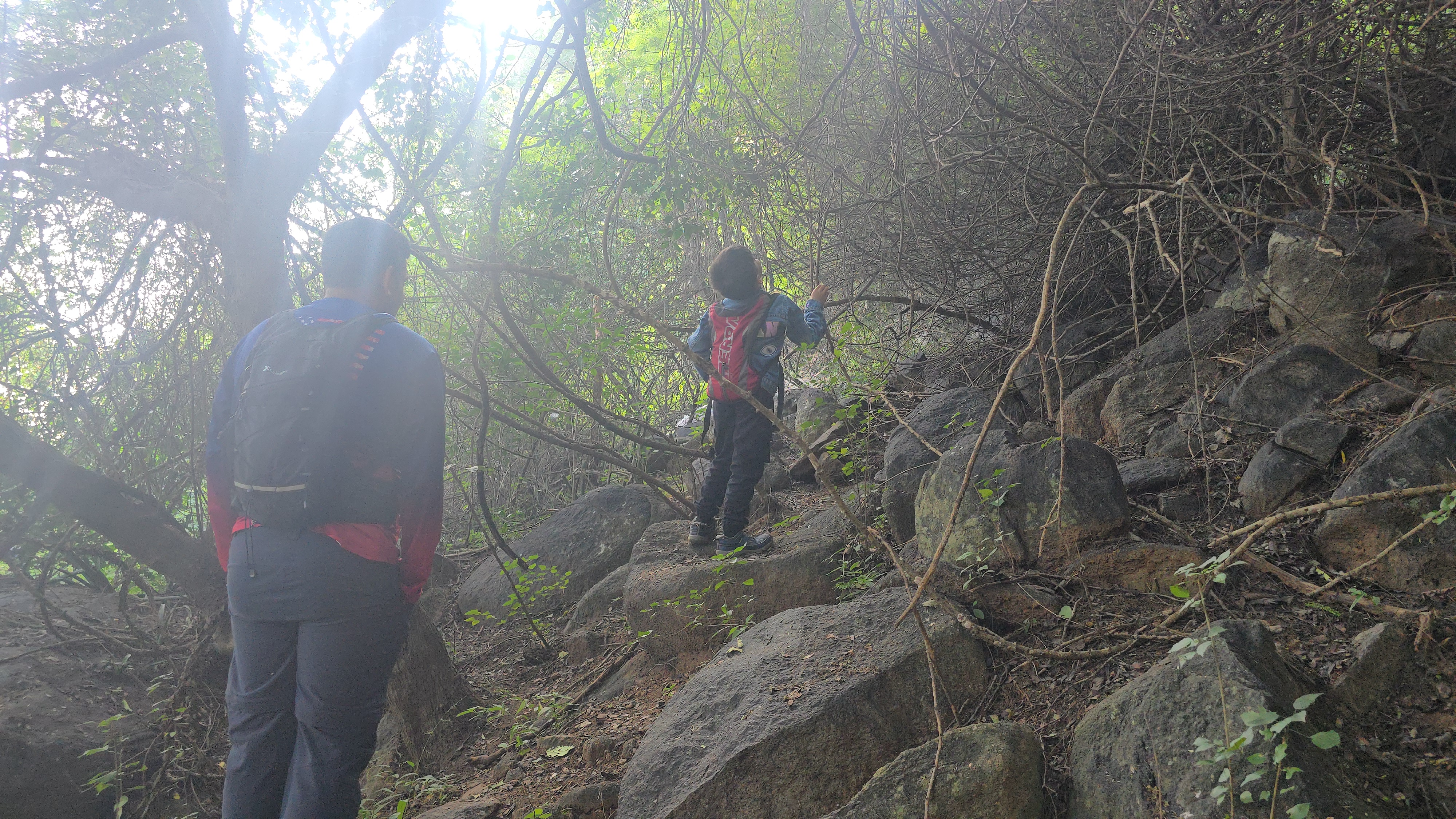 Thattakal Fort Trek – A Tough Adventure