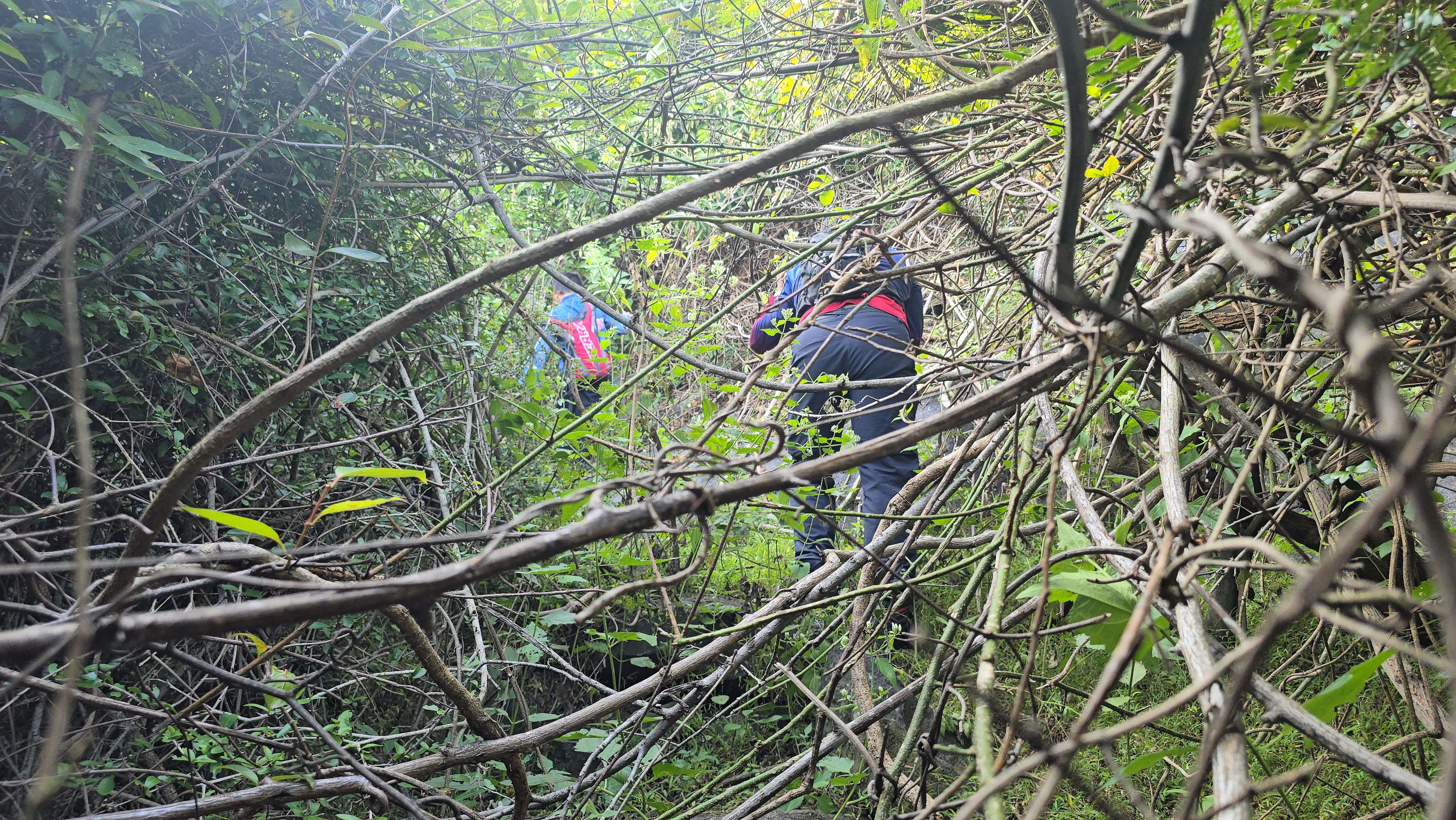 Thattakal Fort Trek – A Tough Adventure