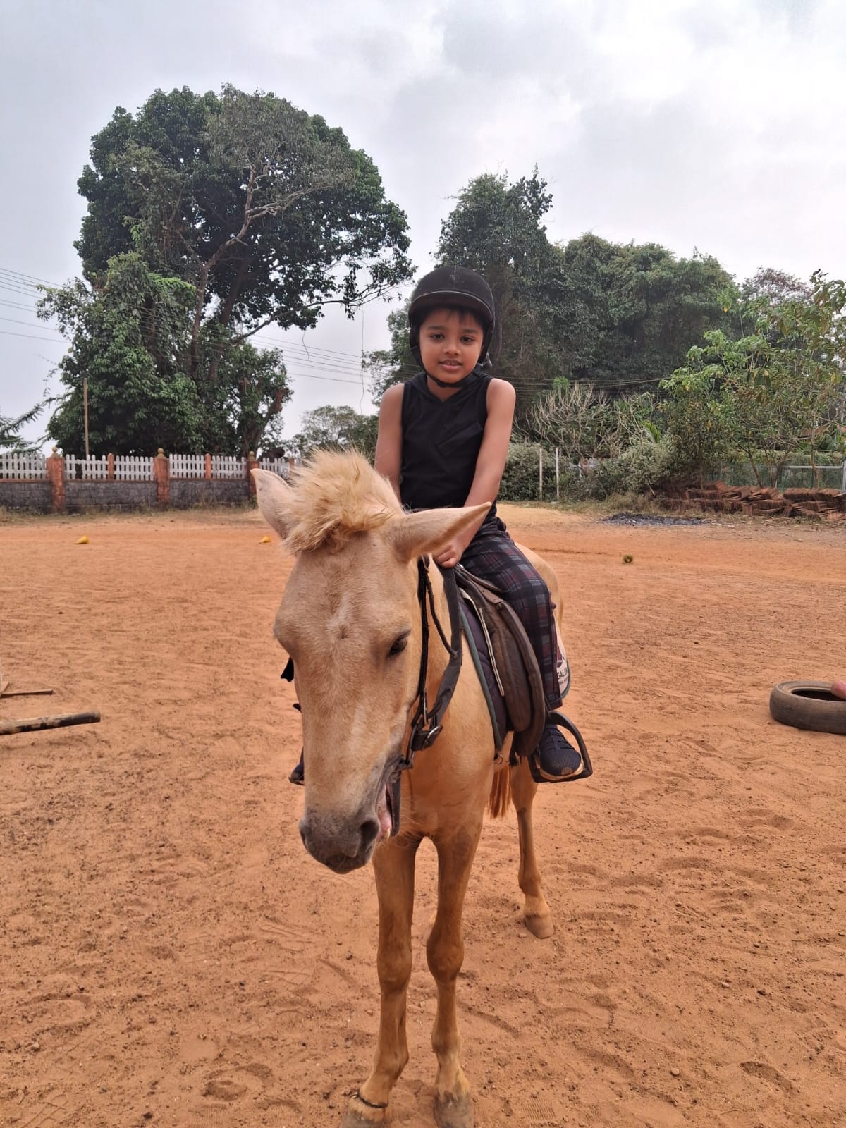 Horse Riding Classes Dec 2025