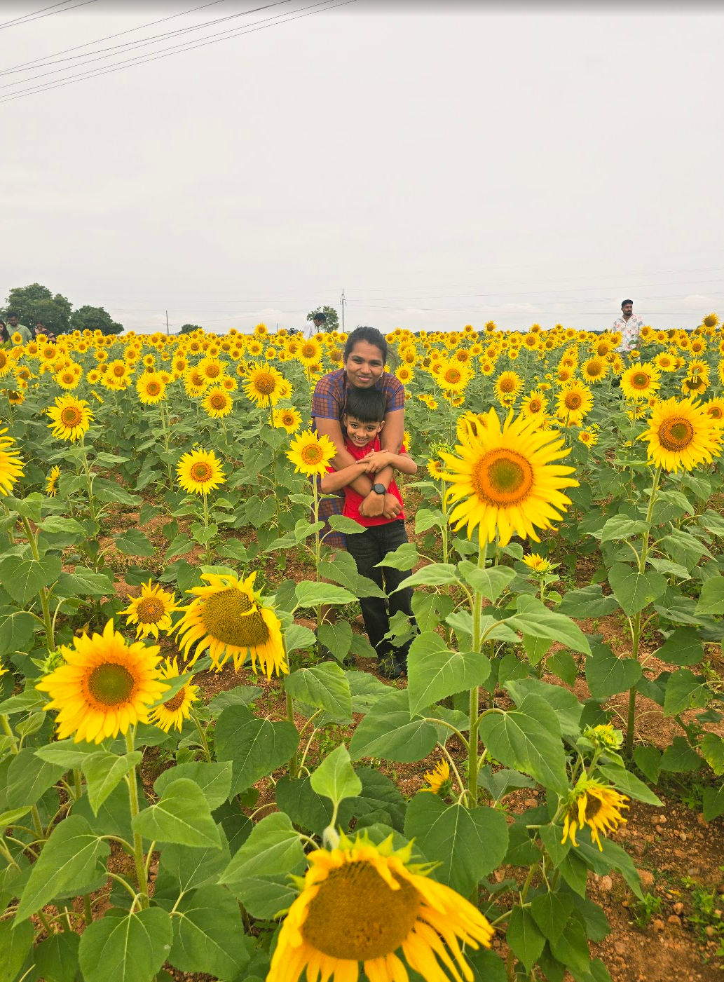 Masinagudi: Waking Up to Deer at Your Doorstep
