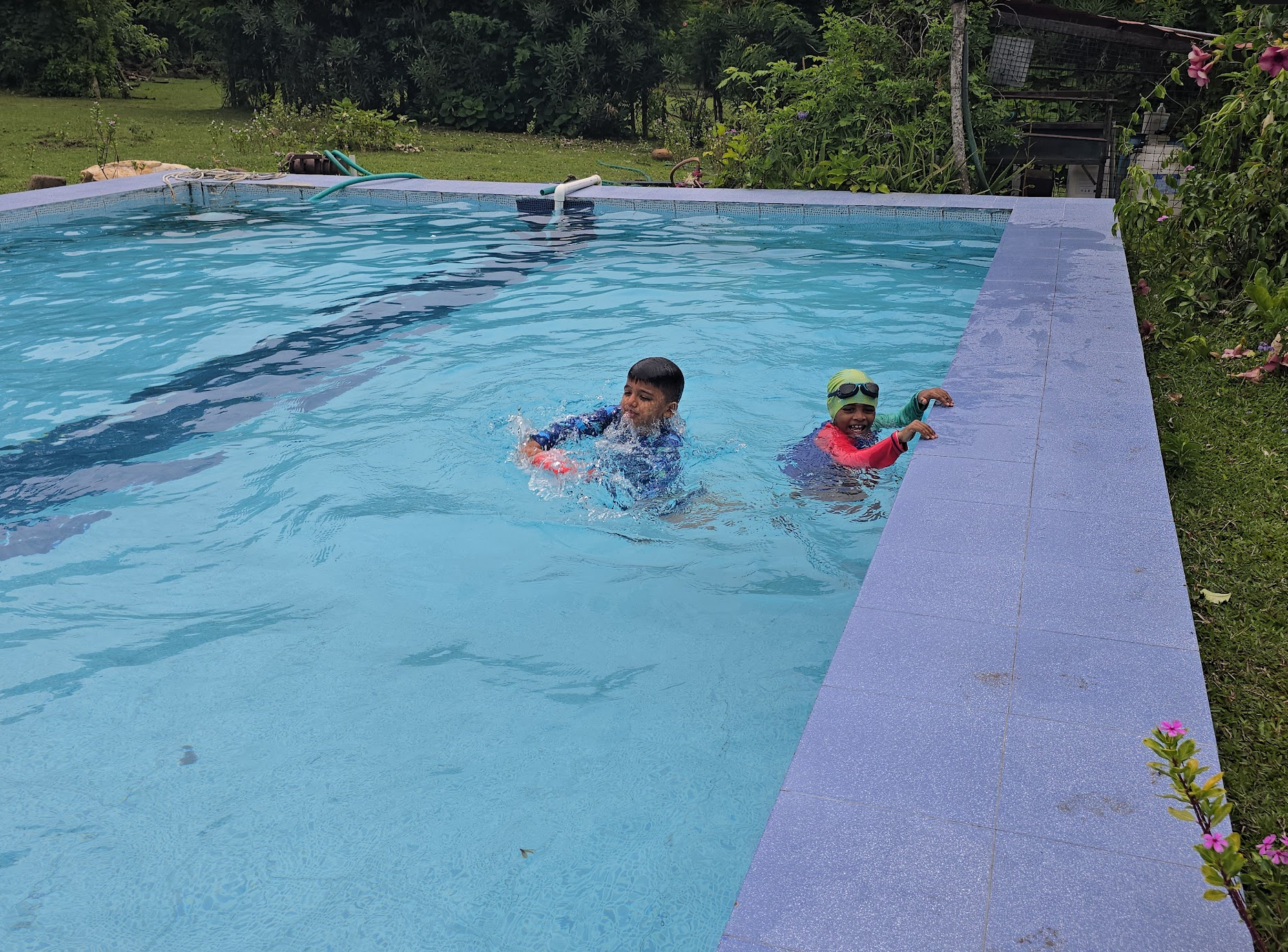 Masinagudi: Waking Up to Deer at Your Doorstep