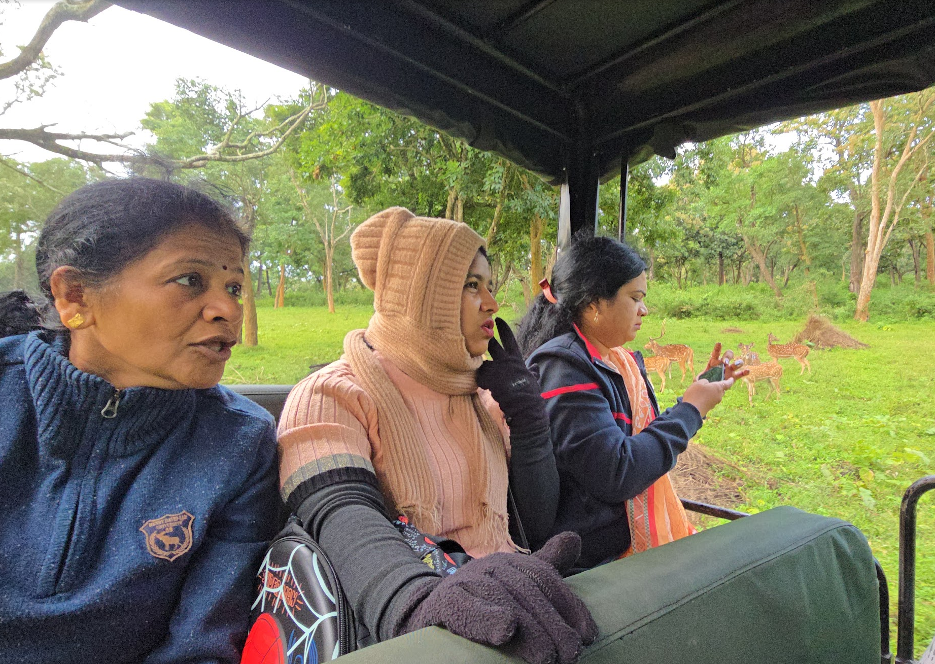 Masinagudi: Waking Up to Deer at Your Doorstep