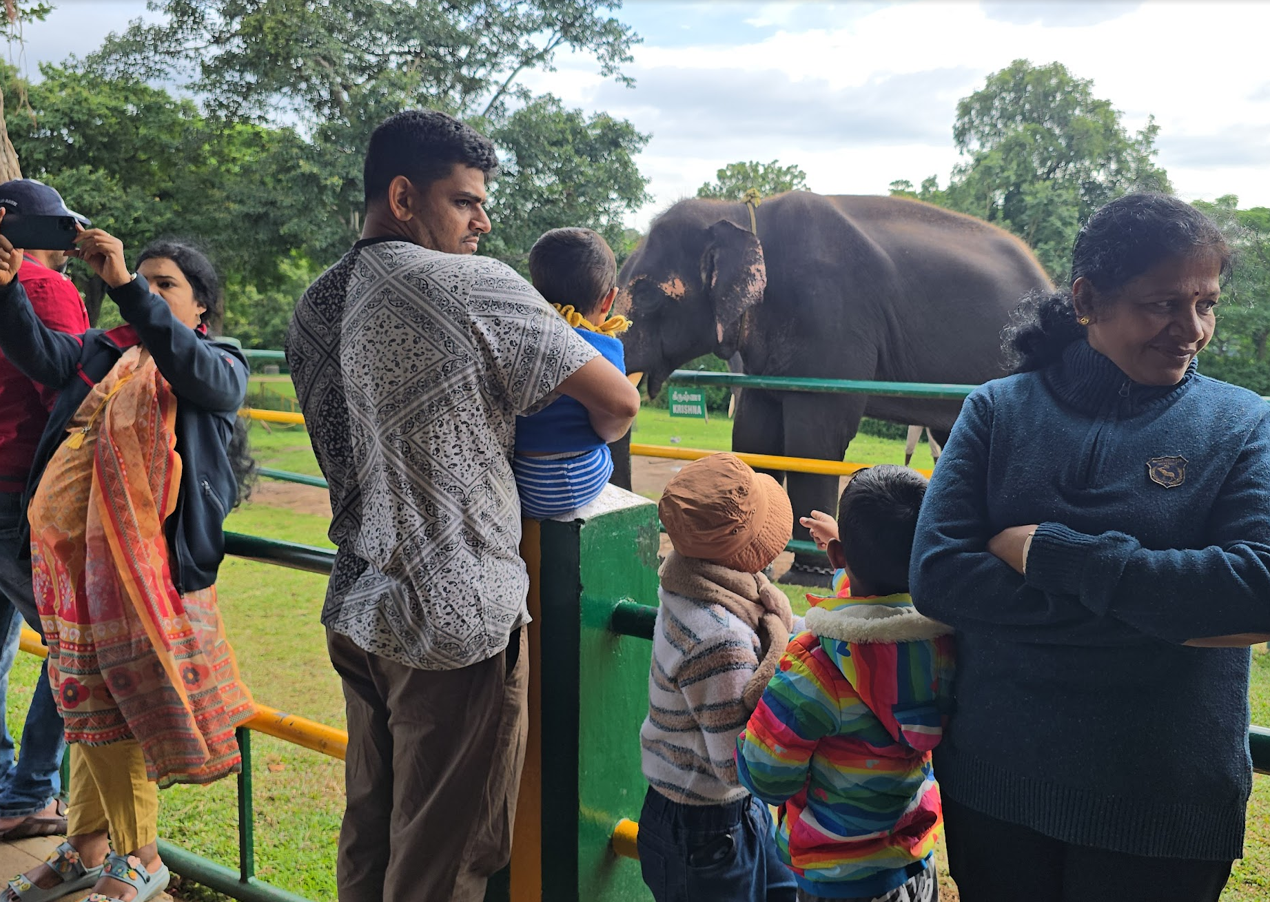 Masinagudi: Waking Up to Deer at Your Doorstep
