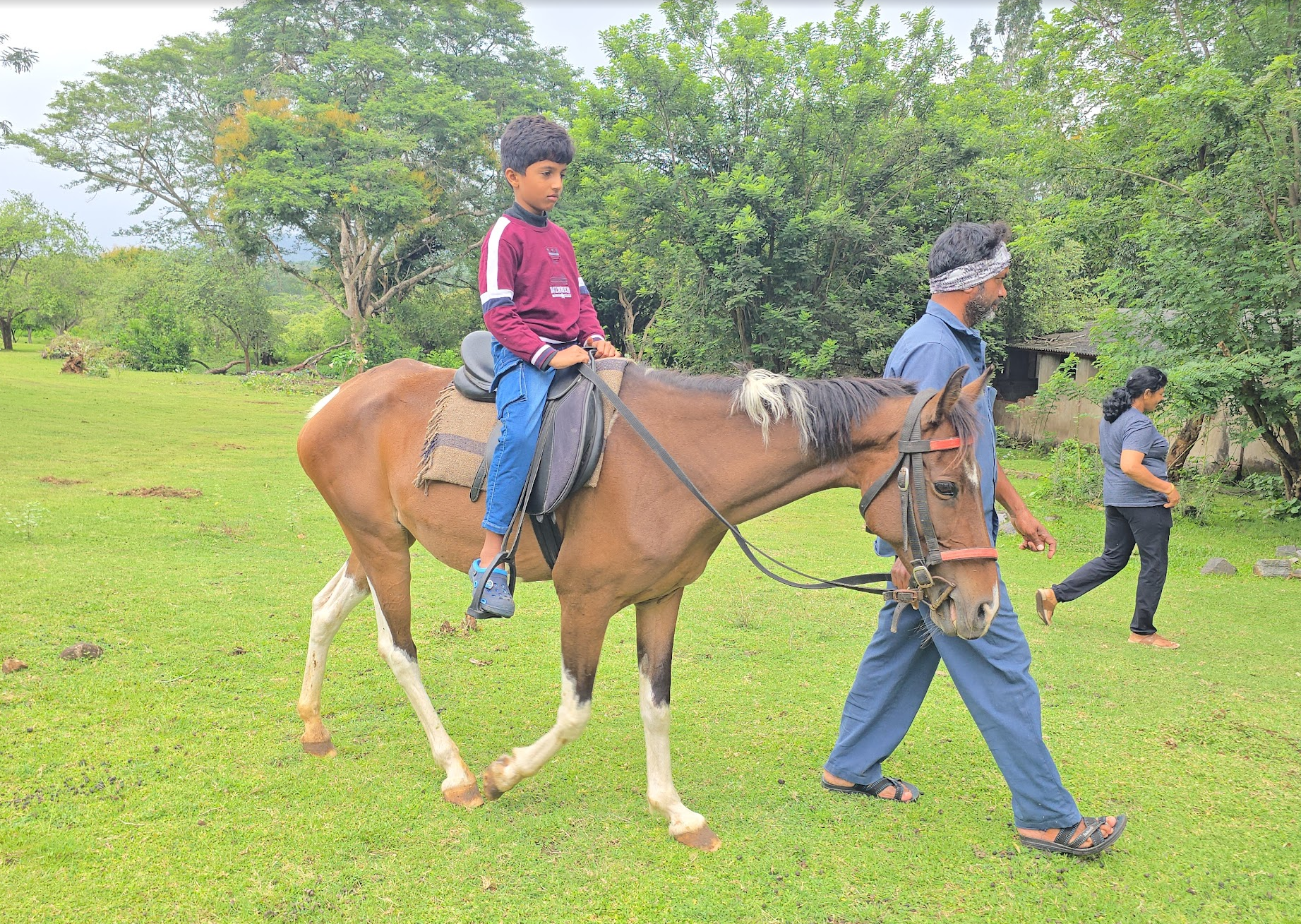 Masinagudi: Waking Up to Deer at Your Doorstep