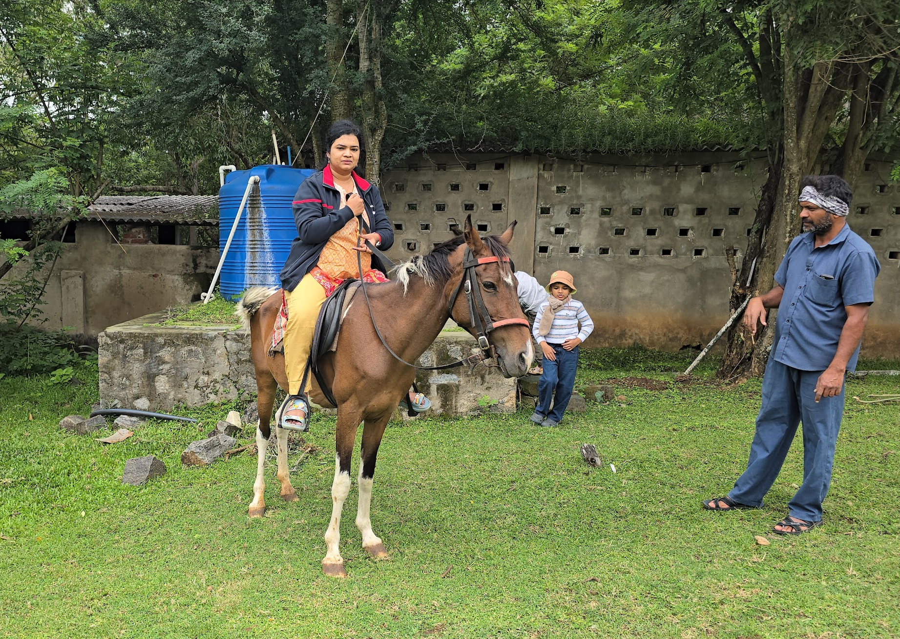 Masinagudi: Waking Up to Deer at Your Doorstep
