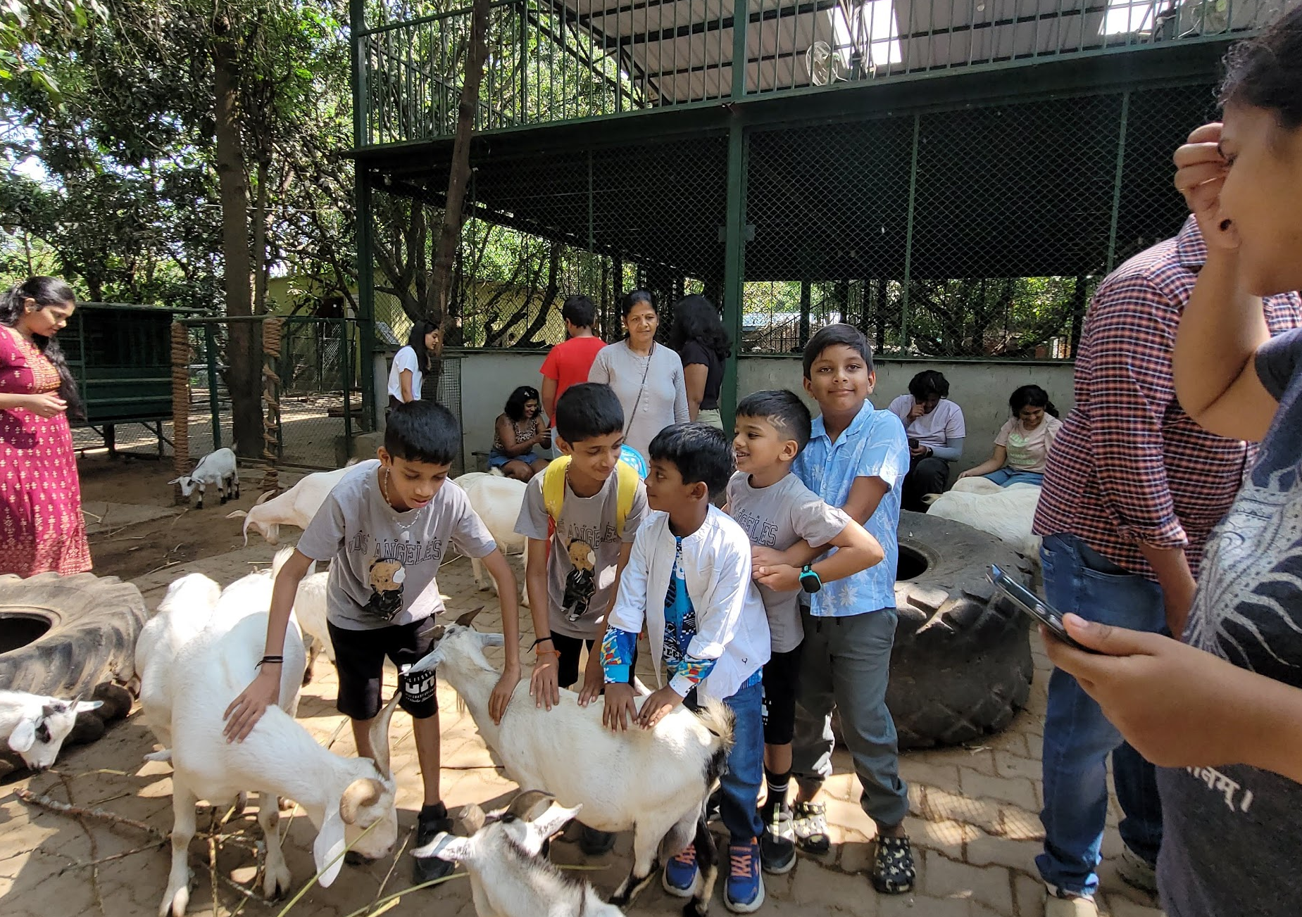 A Day at Prani: Where Kids Meet Animals Up Close