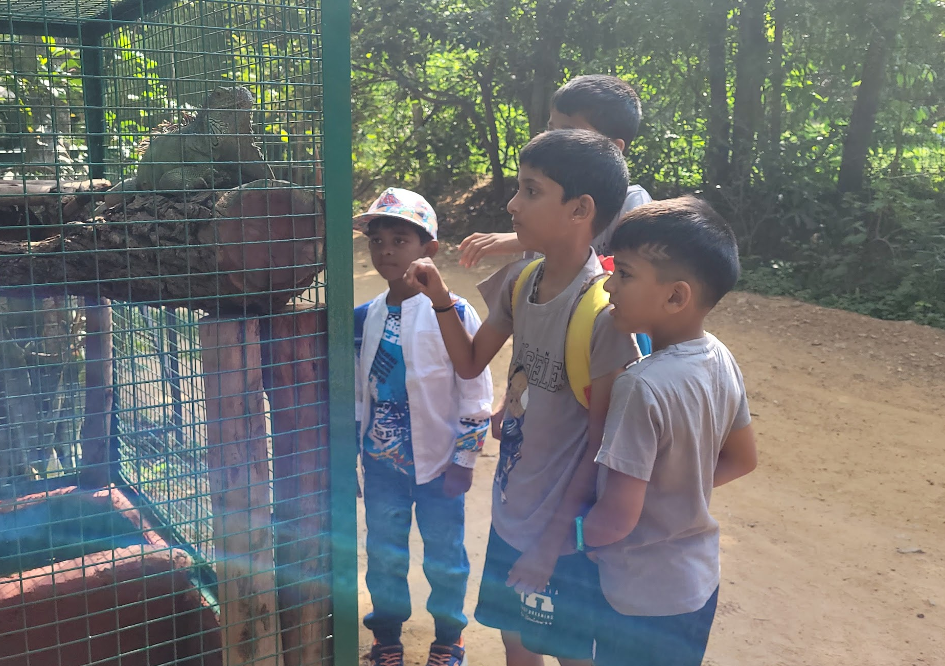 A Day at Prani: Where Kids Meet Animals Up Close